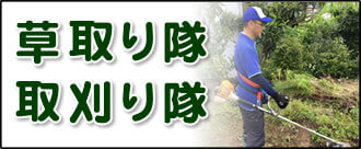 【便利屋】暮らしなんでもお助け隊 福岡平尾店にて何でも屋・便利屋サービス「草取り隊・草刈り隊」は、遠く離れた福岡のご実家のお庭の草取りや草刈り、さらに庭木の伐採、剪定を行っています。倉庫の片付けや、お部屋の片付け、お掃除も行っています。その他、福岡のご実家・ご両親の心配事・お困り事何でも解決しています。ご相談ください。