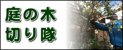 【便利屋】暮らしなんでもお助け隊 福岡平尾店にて何でも屋・便利屋サービス「庭の木切り隊」は、遠く離れた福岡のご実家が空き家となり、お庭でボウボウに伸びた庭木の伐採、庭木の剪定を行っています。さらに庭にある倉庫の片付けなども行っています。その他、福岡のご実家・ご両親の心配事・お困り事何でも解決しています。ご相談ください。